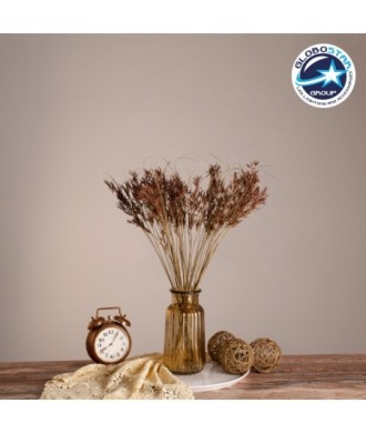 GloboStar® CYPERUS 36500 Αποξηραμένο Φυτό Κύπειρος - Μπουκέτο Διακοσμητικών Κλαδιών Μπεζ - Καφέ Υ60cm - Σετ 50 τμχ